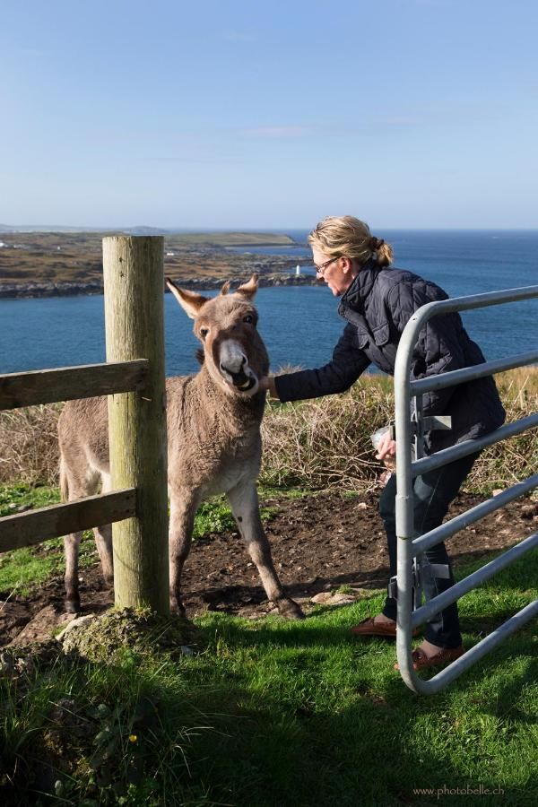 Отели типа «постель и завтрак» Clifden Bay Lodge Клифден-33